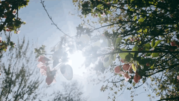 4-21040ZZ63M64.gif