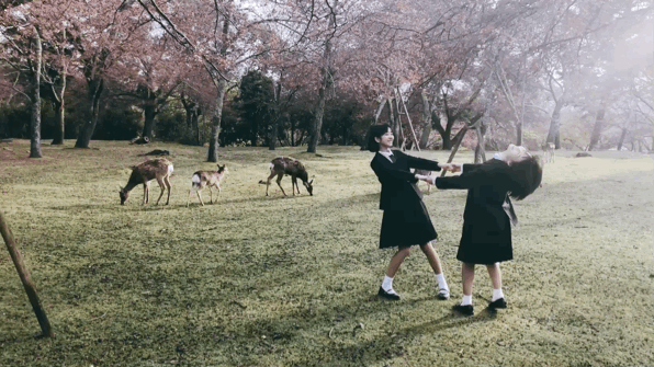 4-210G4092334222.gif