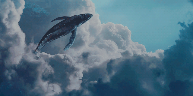 4-210P6091350253.gif