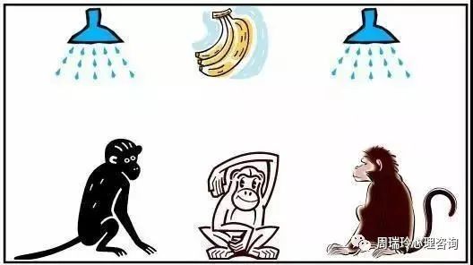 4-220Z20QZcN.jpg 4-220Z20QZcN.jpg